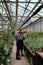 Family agriculture business in a flower greenhouse two gardener lady and man analyzing the plants from the pot they