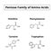 A family of amino acids pentoses. Chemical molecular formulas of amino acids histidine, phenylalanine, tyrosine