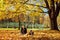 Family in the autumn park. Ljubljana, Slovenia.