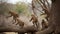 A family of baboons playing in the trees created with Generative AI