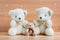 Family bears and snow on a wooden background.