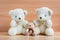Family bears on a wooden background