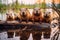 a family of beavers on a fallen tree across the river.