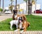 Family of boxer dogs posing for photograph