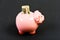 Family budget. business startup. financial position. getting rich. income. saving money. piggy bank with golden coin