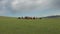 A Family Builds a Ger Tent in The Meadow of Mongolia