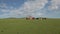 A Family Builds a Ger Tent in The Meadow of Mongolia