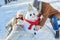 Family builds snowman in winter