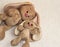 Family of bunnies on a white background. Plush rabbit toy