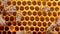 Family of busy bees working in hive during summer honey harvest. Sealing honeycomb with insects. Macro view, close-up