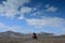 family camel ride in the beautiful landscapes of the desert