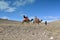 family camel ride in the beautiful landscapes of the desert