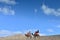 family camel ride in the beautiful landscapes of the desert