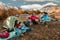 Family on a camping trip. Family doing camping in the forest