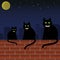 Family cats with green eyes and scary faces sitting on brick wall in city