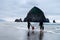 Family with Children Explore Beach. Haystack Rock, Oregon