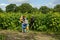 Family choosing the  best sunflowers in a Hampshire field