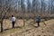 Family cleaning cut branches from orchard