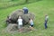 Family collects hay on a tractor, agricultural industry in Czech Republic