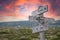 Family comes first text engraved in wooden signpost outdoors in nature during sunset