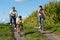 Family is cycling in summer