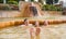 Family, dad and children bathe, swim in outdoor dirty hot springs. Thermal water bath pool and healthy natural, clay and