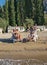 Family on deck chairs at sand beach 2