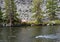 A family of deer cross the Yellowstone River in the park