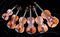 Family of different sized violins on black