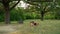 Family with dog relaxing and having picnic after biking