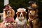 Family of dogs in royal outfits of the Victorian era. Funny dogs. Dogs as Humans concept. Picture of Dogs Aristocrats