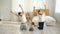 Family doing gymnastic exercises in bedroom at home - healthy life education