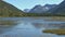 Family of ducks on mountain lake