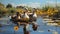 A family of ducks swimming in a calm pond 3D tile art