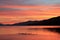 Family of Ducks Takes Morning Swim on Lake at Sunrise