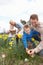 Family On Easter Egg Hunt In Daffodil Field