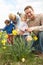 Family On Easter Egg Hunt In Daffodil Field