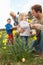 Family On Easter Egg Hunt In Daffodil Field