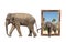 Family of elephant in bamboo frame with 3d effect