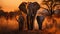 A family of elephants