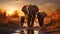 A family of elephants