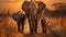 A family of elephants