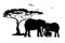 Family of elephants in Africa. Black silhouette animals, tree, birds. Wildlife protection concept