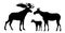 Family Elk male with large horns and with Moose female with cub Elk. Silhouette picture. Animals in wild. Isolated on