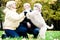 Family embrace irish soft coated wheaten terrier