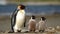 Family of Emperor Penguins on Snowy Antarctic Landscape