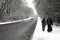 A family enjoying a winter stroll in a heavy fall of snow