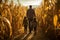 Family exploring corn maze in the fall day. Dad and his kids exploring corn maze. Family on pathway in corn field. Popular tourist