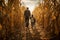 Family exploring corn maze in the fall day. Dad and his kids exploring corn maze. People on pathway in corn field. Popular tourist