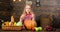 Family farm festival concept. Farm themed games and activities for kids. Girl kid at farm market with fall harvest